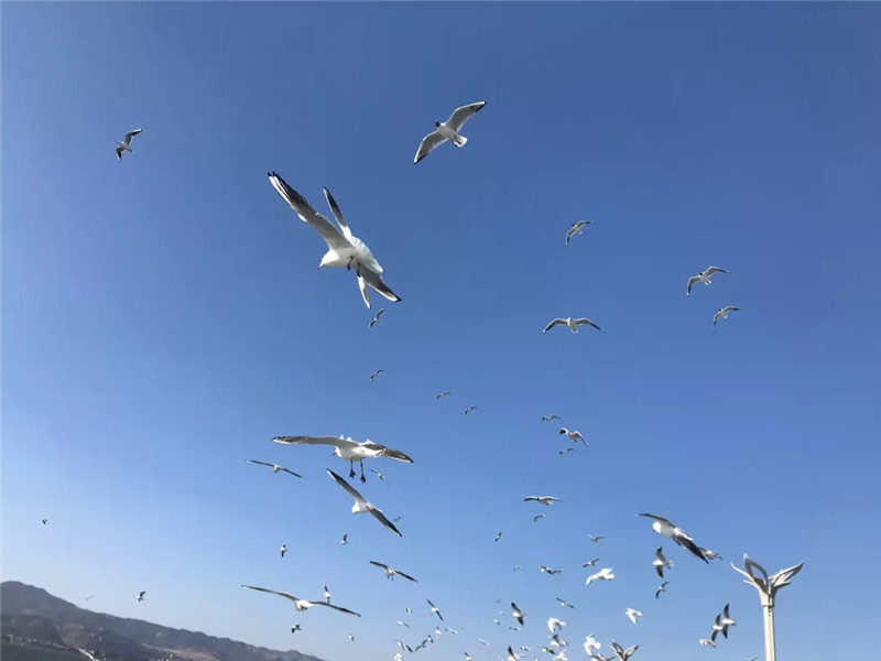 640.webp (5).jpg 640.webp (5).jpg